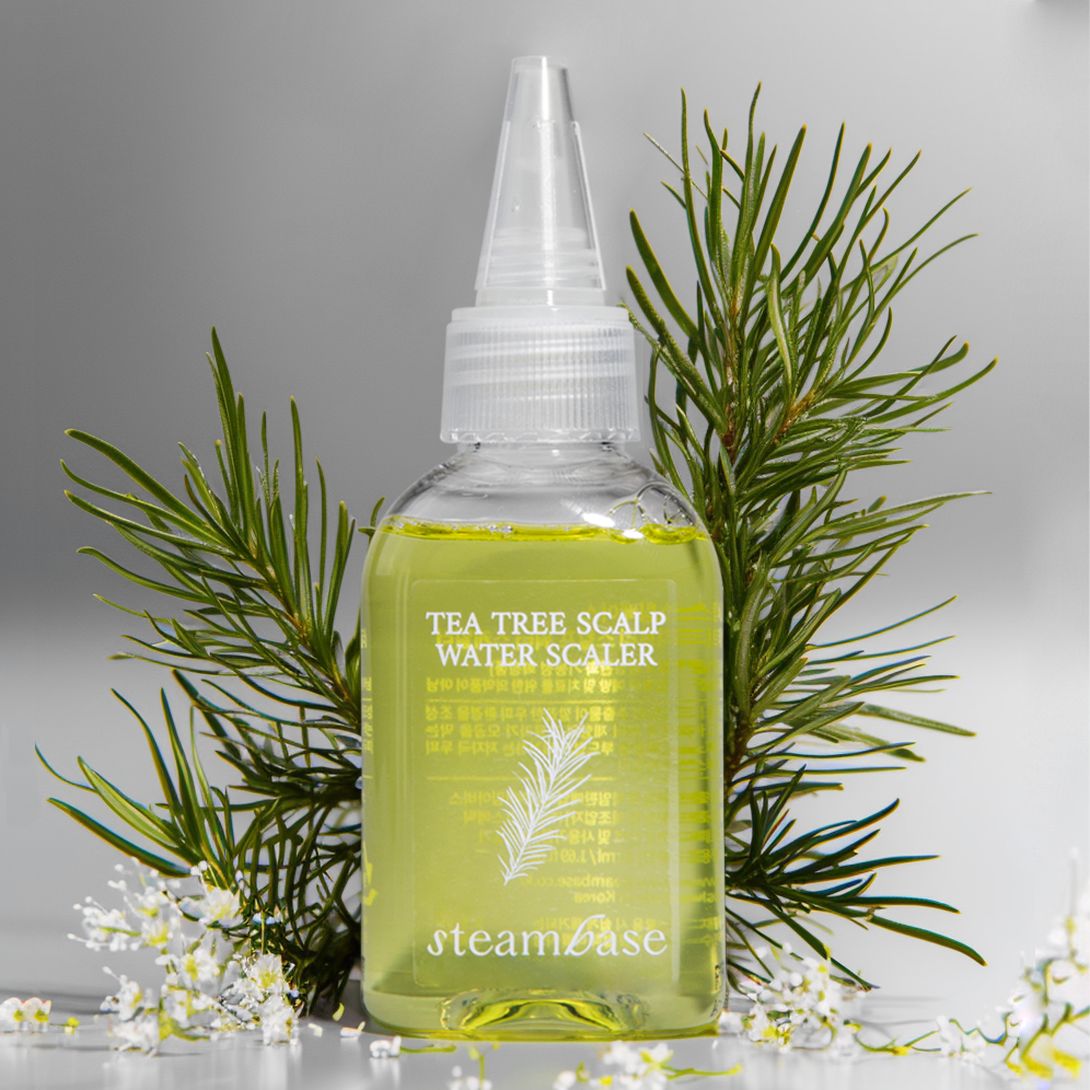 STEAMBASE TEA TREE SCALP WATER SCALER 250ml Пилинг для кожи головы с экстрактом чайного дерева, 50 мл купить в интернет-магазине Skin-Mag