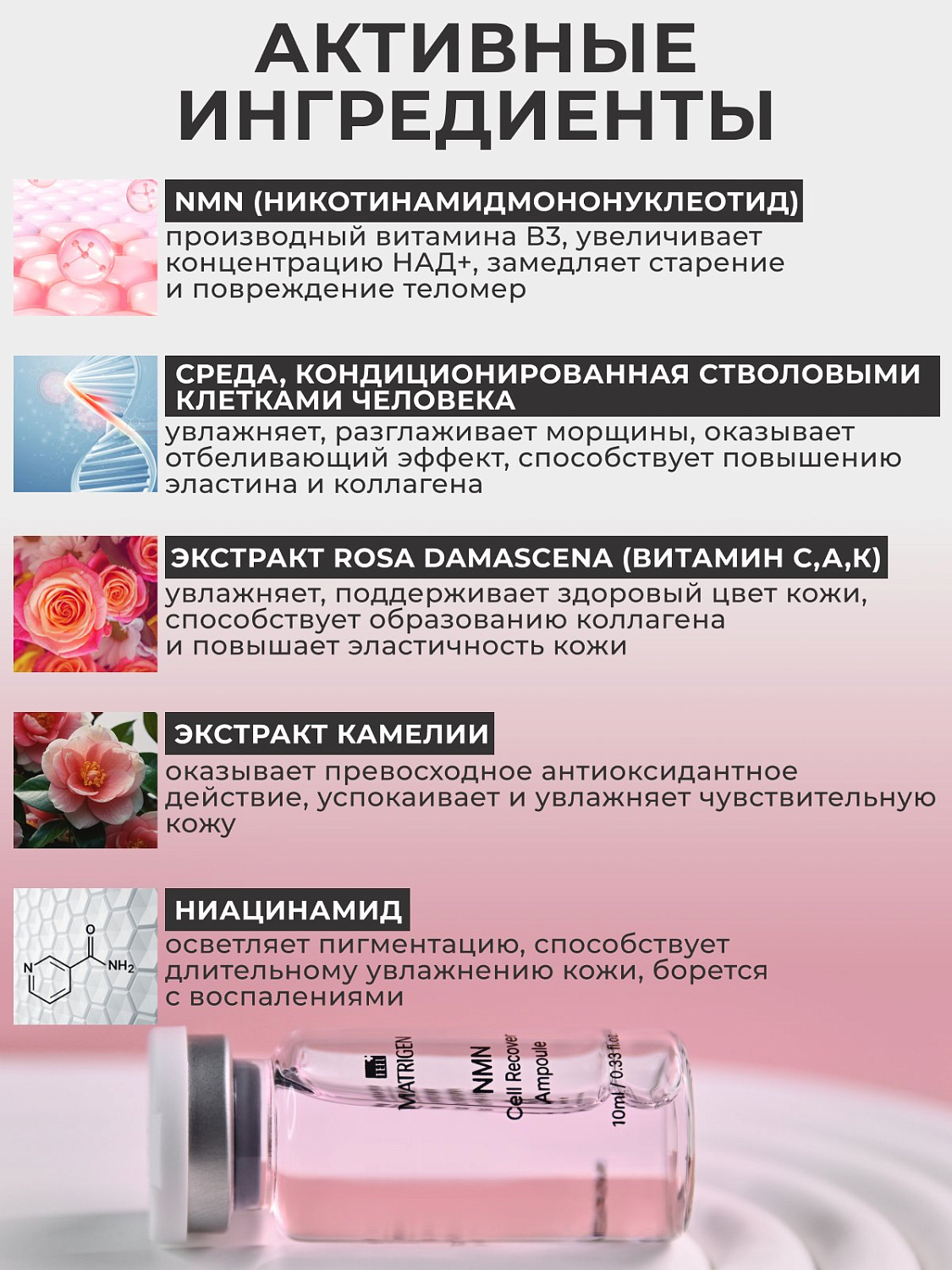 Matrigen NMN Cell Recover Ampoule 10ml*5Ea
