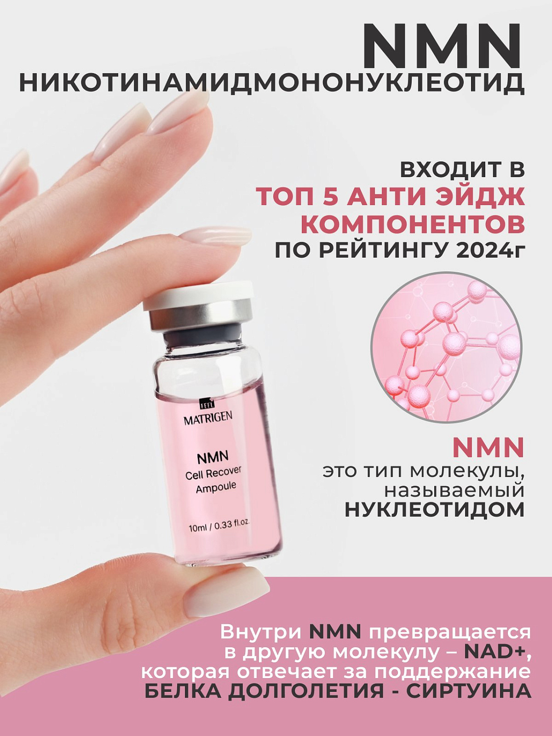 Matrigen NMN Cell Recover Ampoule 10ml*5Ea